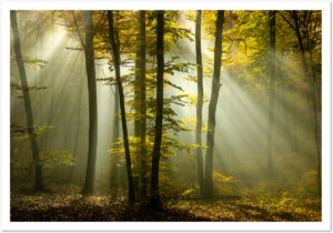 Fotokarte, Grusskarte, Schweiz, A5, Natur, Fotografie, Kunst, Weihnachtskarte, Weihnachtsmotive