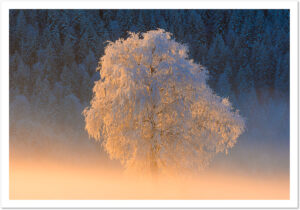 Fotokarte, Grusskarte, Schweiz, A5, Natur, Fotografie, Kunst, Weihnachtskarte, Weihnachtsmotive