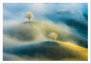 Fotokarte, Grusskarte, Schweiz, A5, Natur, Fotografie, Kunst, Weihnachtskarte, Weihnachtsmotive