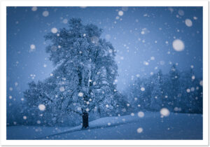 Fotokarte, Grusskarte, Schweiz, A5, Natur, Fotografie, Kunst, Weihnachtskarte, Weihnachtsmotive