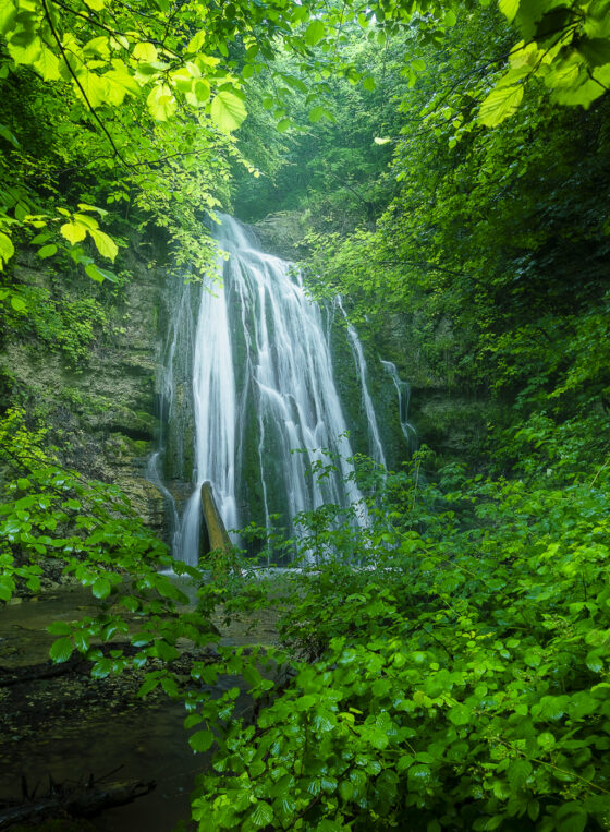 Wasserfall, Fotografie, Naturfotografie, Kanton Zürich, Schweiz, Wandbild, Frühling, Tourismus, Naturfotografie für Unternehmen Schweiz, Wandbilder für Banken, Naturbilder für Kliniken, professionelle Naturfotografie Tourismus.