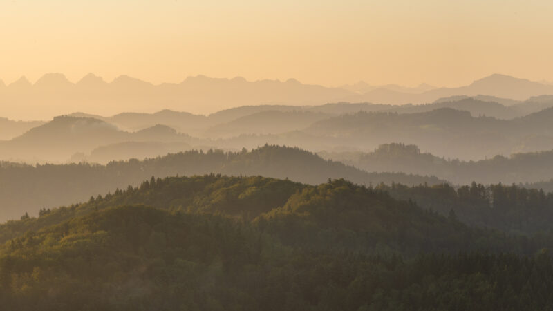 Gestaffelte Hügel und Bergketten im Zürcher Oberland an einem nebligen Herbstmorgen, beleuchtet von warmem Morgenlicht.