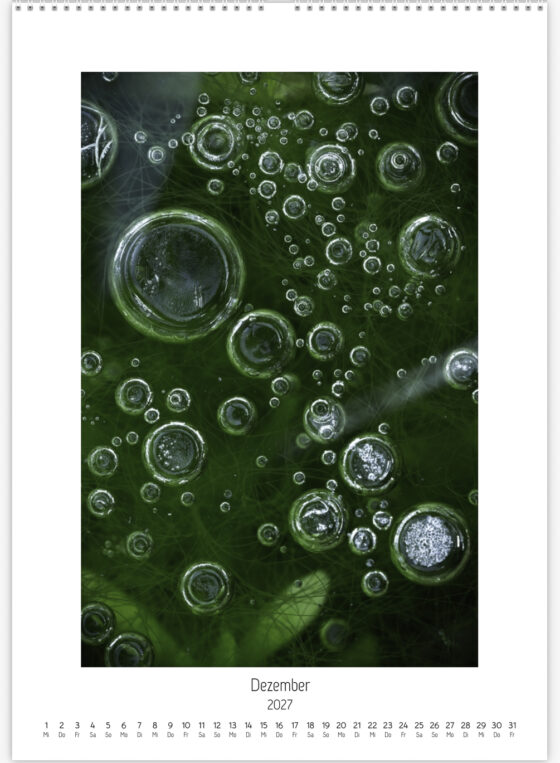 Luftblasen im Eis einer Wasserfläche im Moor mit Blättern und Gräsern unter der gefrorenen Oberfläche.